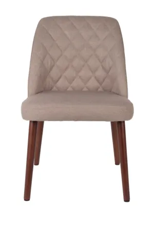 Beige Dining Chairs (2) | DF Conway