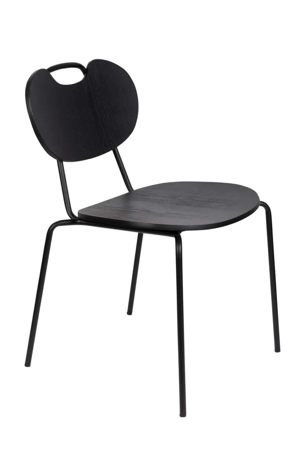 Lacquered Wood Dining Chairs (2) | DF Aspen