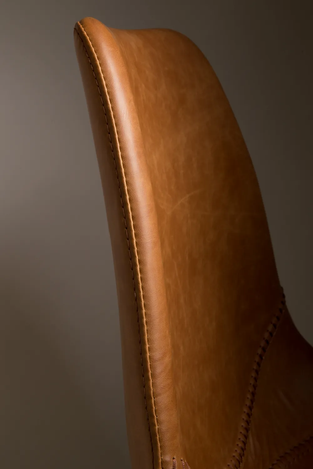 Leather Upholstered Dining Chairs (2) | Dutchbone Franky