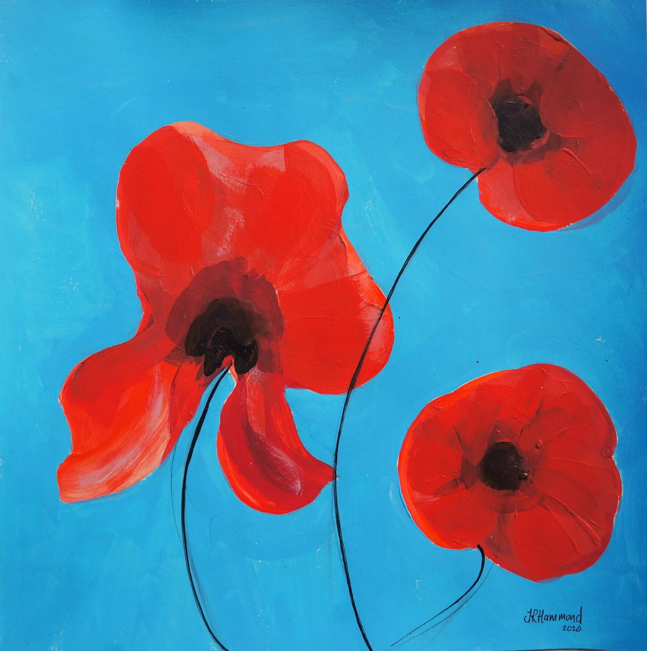 Poppy Flowers Study One