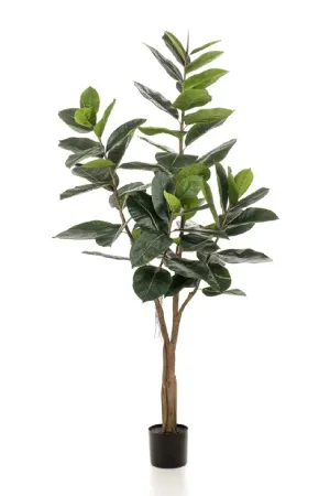 Potted Faux Tree Set (2) | Emerald Ficus Elastica