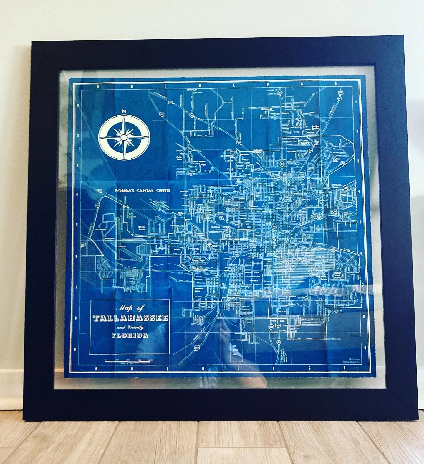 Tallahassee MERA Map- Framed