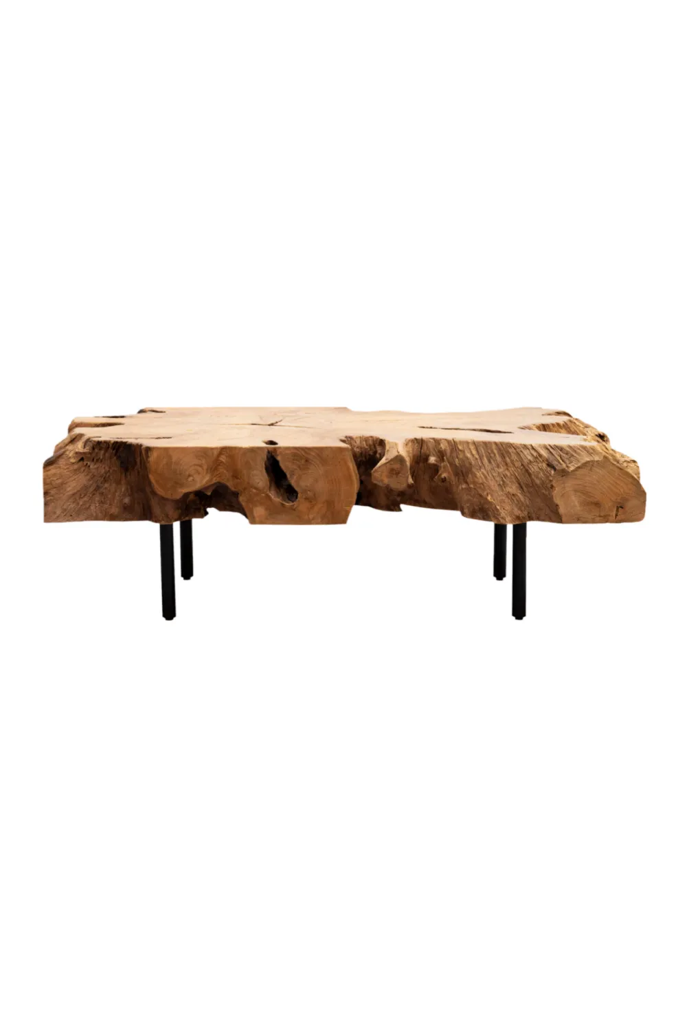 Teak Root Coffee Table | Dareels Root