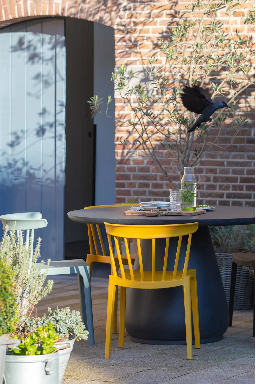 Yellow Acrylic Dining Chairs (2) | Woood Bliss